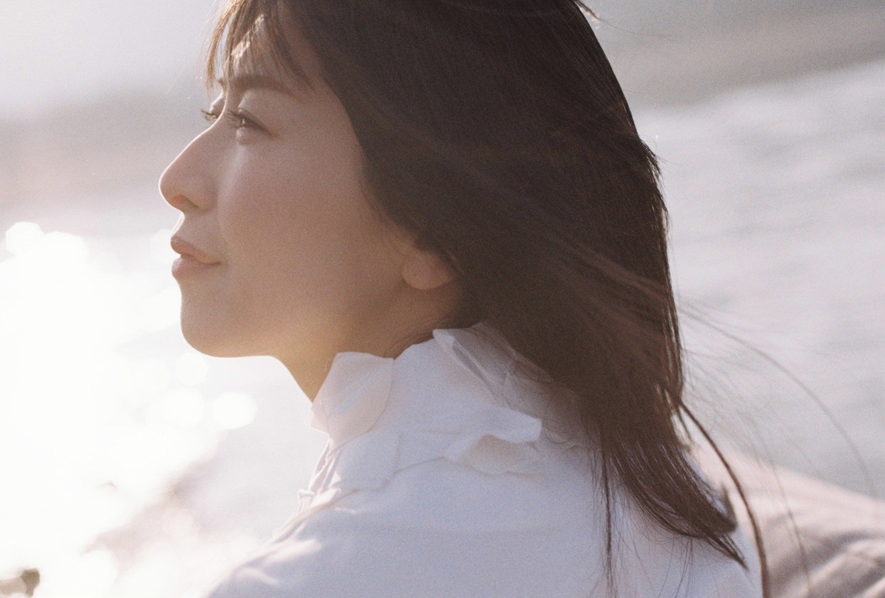 『メリーの不思議な夢』パンフレット販売に関するご案内