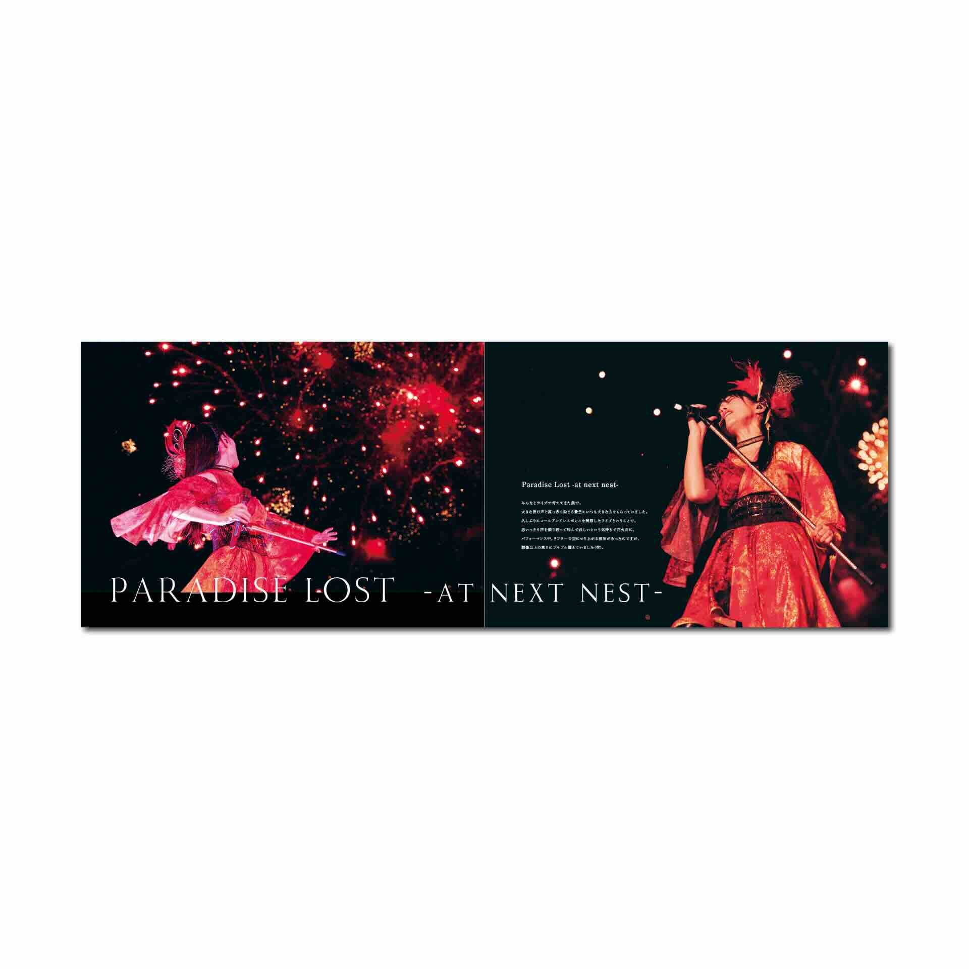 We are stars! – パンフレット