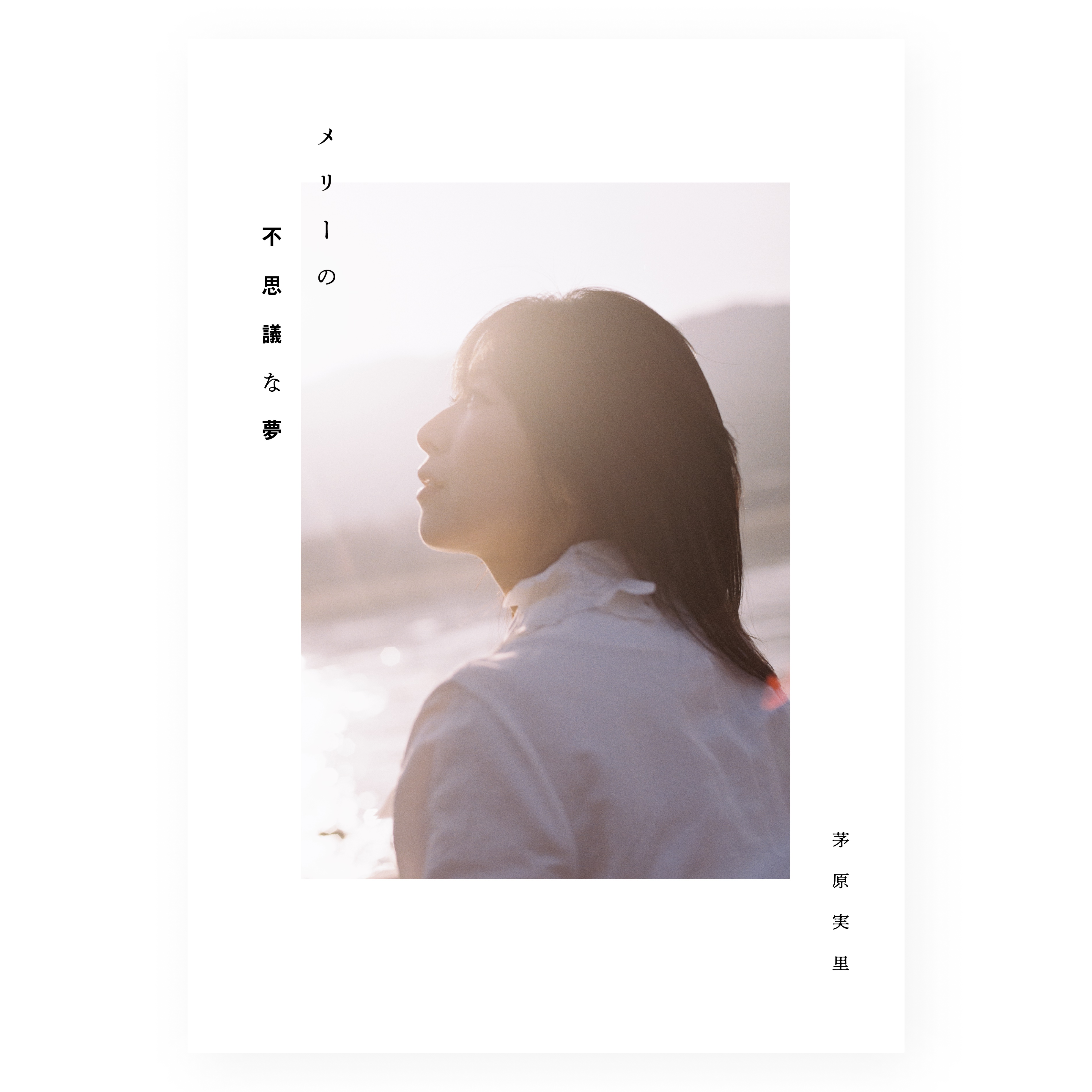 メリーの不思議な夢 – パンフレット