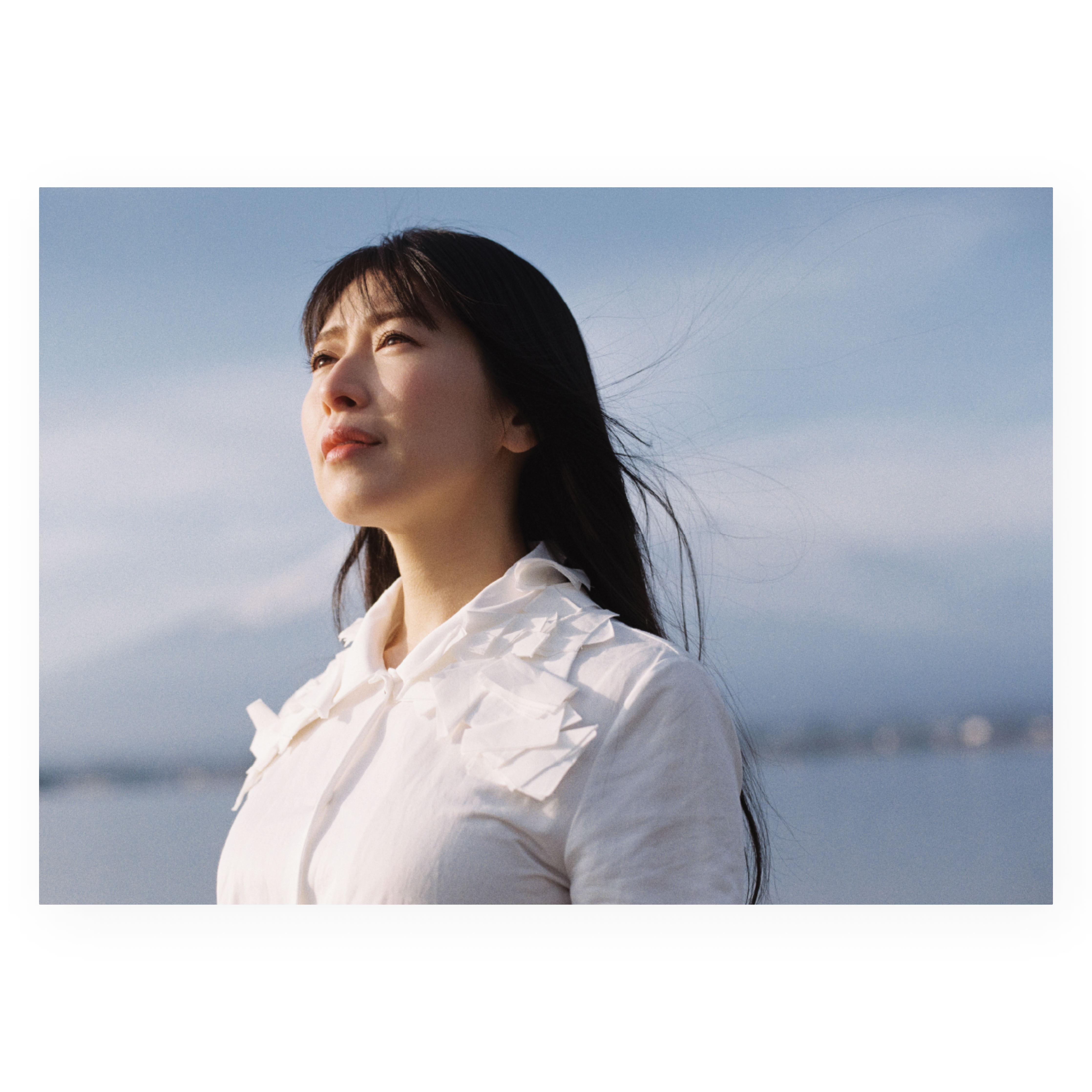 メリーの不思議な夢 – パンフレット